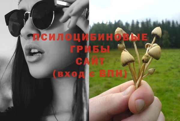 гашишное масло Заволжье