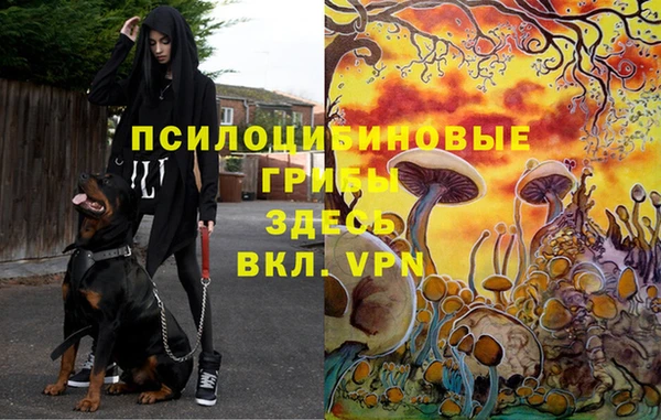 дистиллят марихуана Заводоуковск