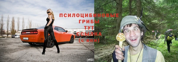 первитин Протвино