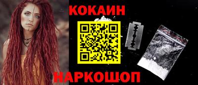индика Камышлов