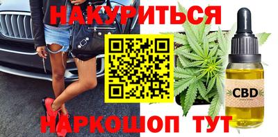 индика Камышлов