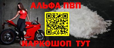 индика Камышлов