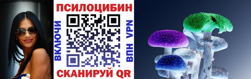 Галлюциногенные грибы мицелий  как найти закладки  Славгород 