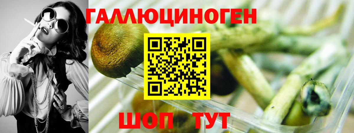 Псилоцибиновые грибы ЛСД  Галлюциногенные грибы Psilocybine cubensis  Вход с VPN  Славгород 