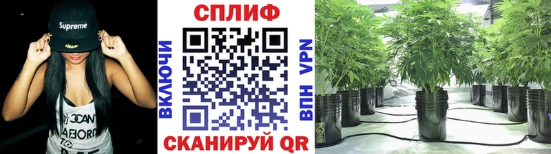 mega ONION Славгород МАРИХУАНА THC 21% закладка
